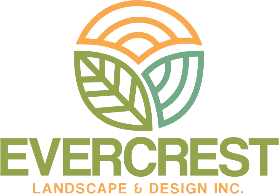 A man is riding a bike on a hill.